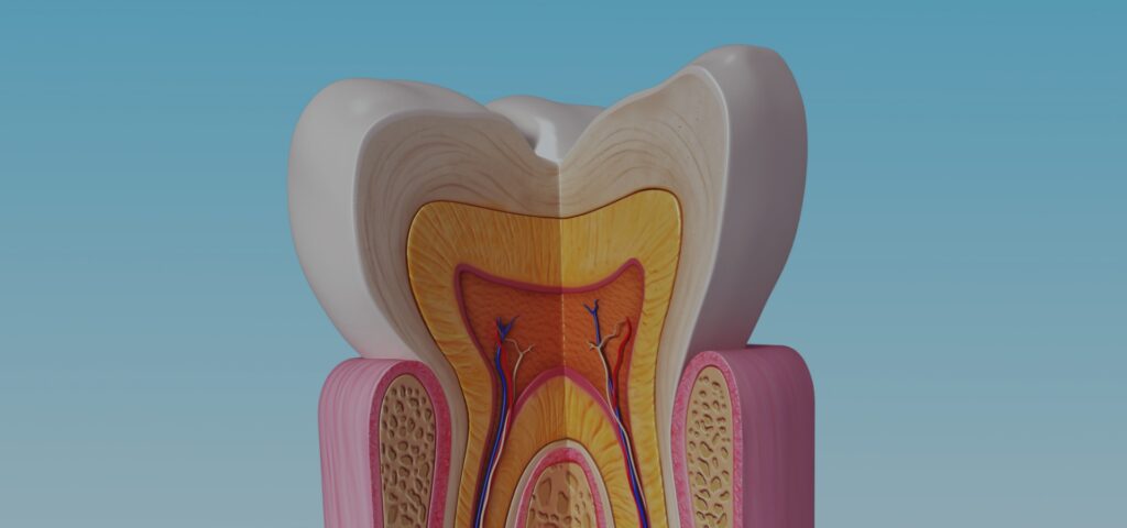 Endodonzia